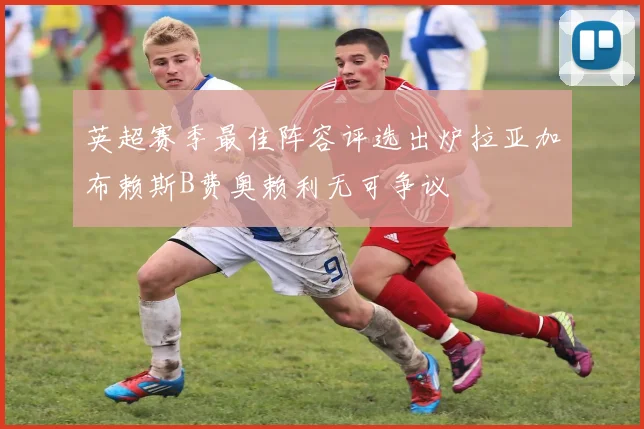 英超赛季最佳阵容评选出炉拉亚加布赖斯B费奥赖利无可争议