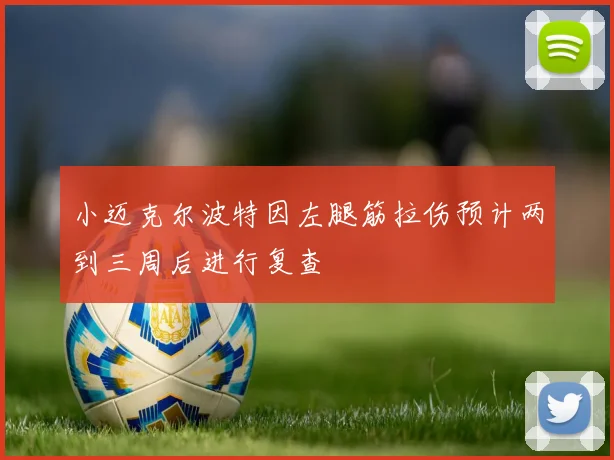 小迈克尔波特因左腿筋拉伤预计两到三周后进行复查