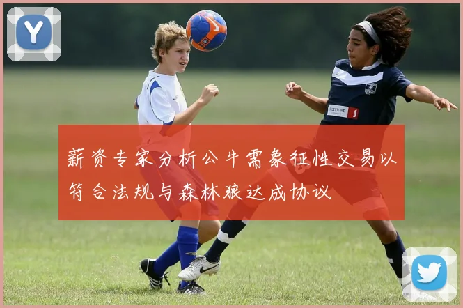 薪资专家分析公牛需象征性交易以符合法规与森林狼达成协议